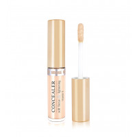 Консилер LUX visage №01 Light, 5,5г